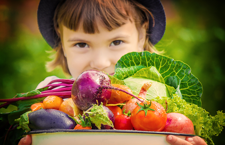 Bagaimana Agar Anak Doyan Makan Buah Dan Sayur  OTC Digest